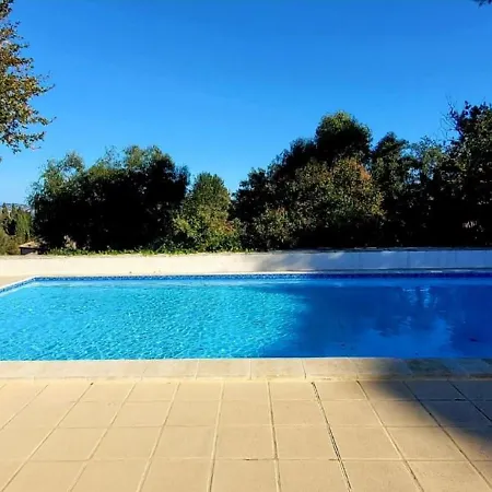 Be Cool Golfe De Saint-Tropez